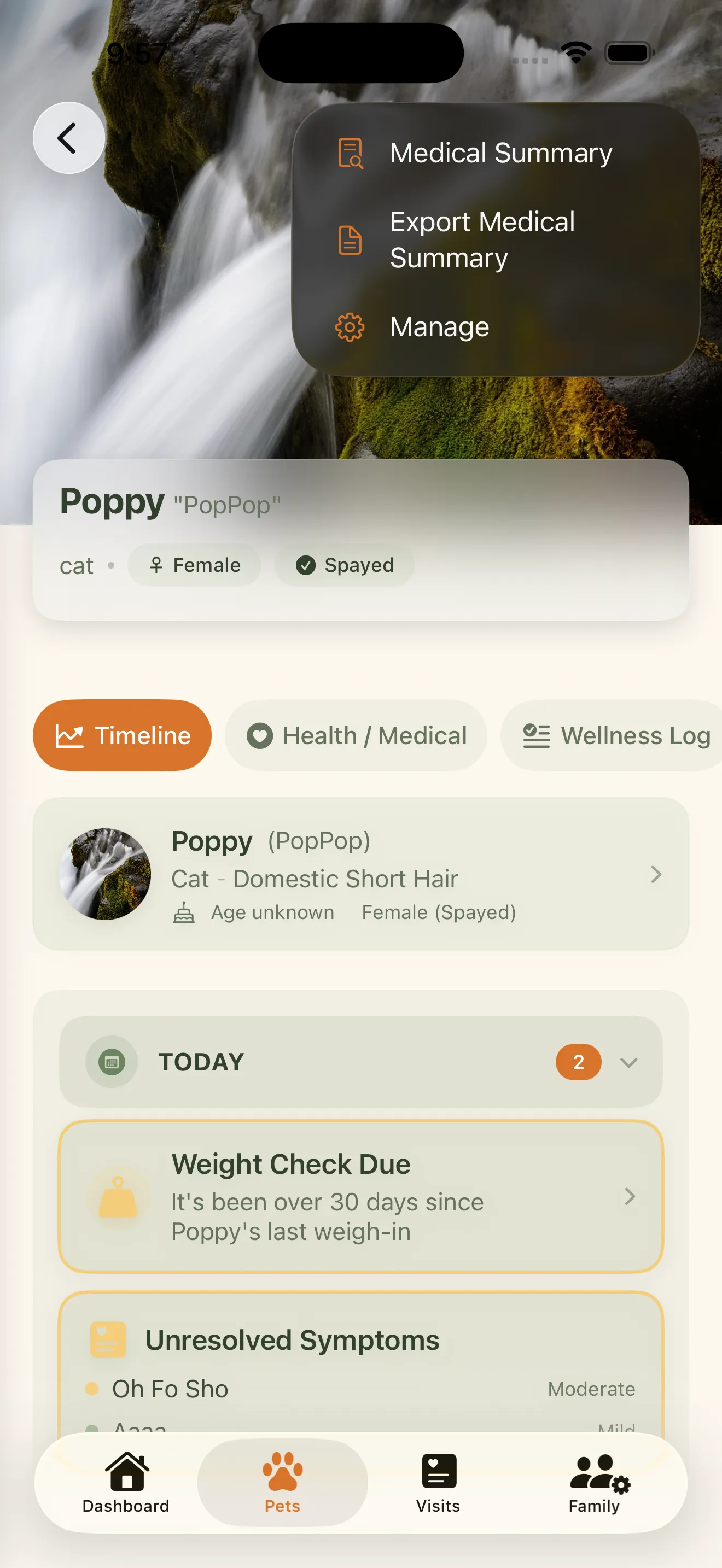 Everkin PDF summary generation screen showing a formatted medical summary ready to share