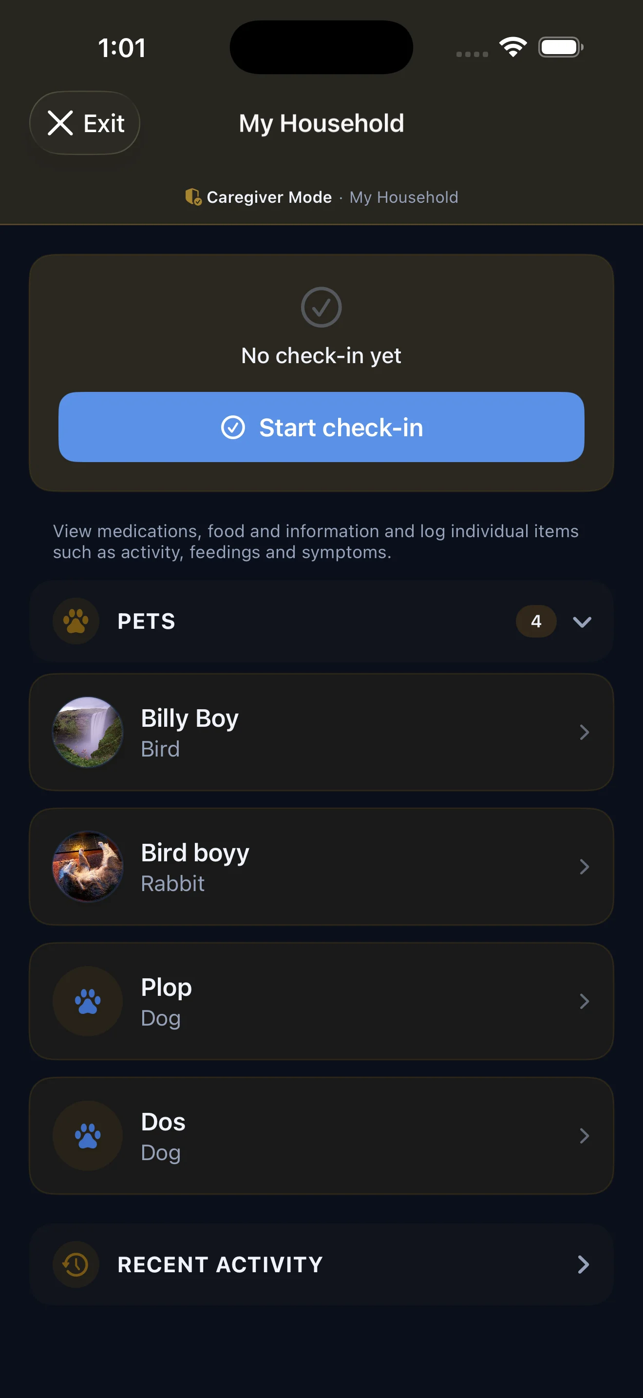 Everkin caregiver mode as a pet sitter sees it