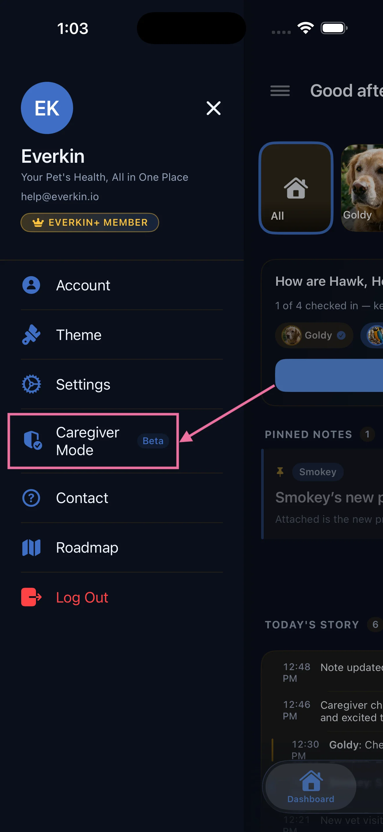 Everkin navigation showing the caregiver mode option