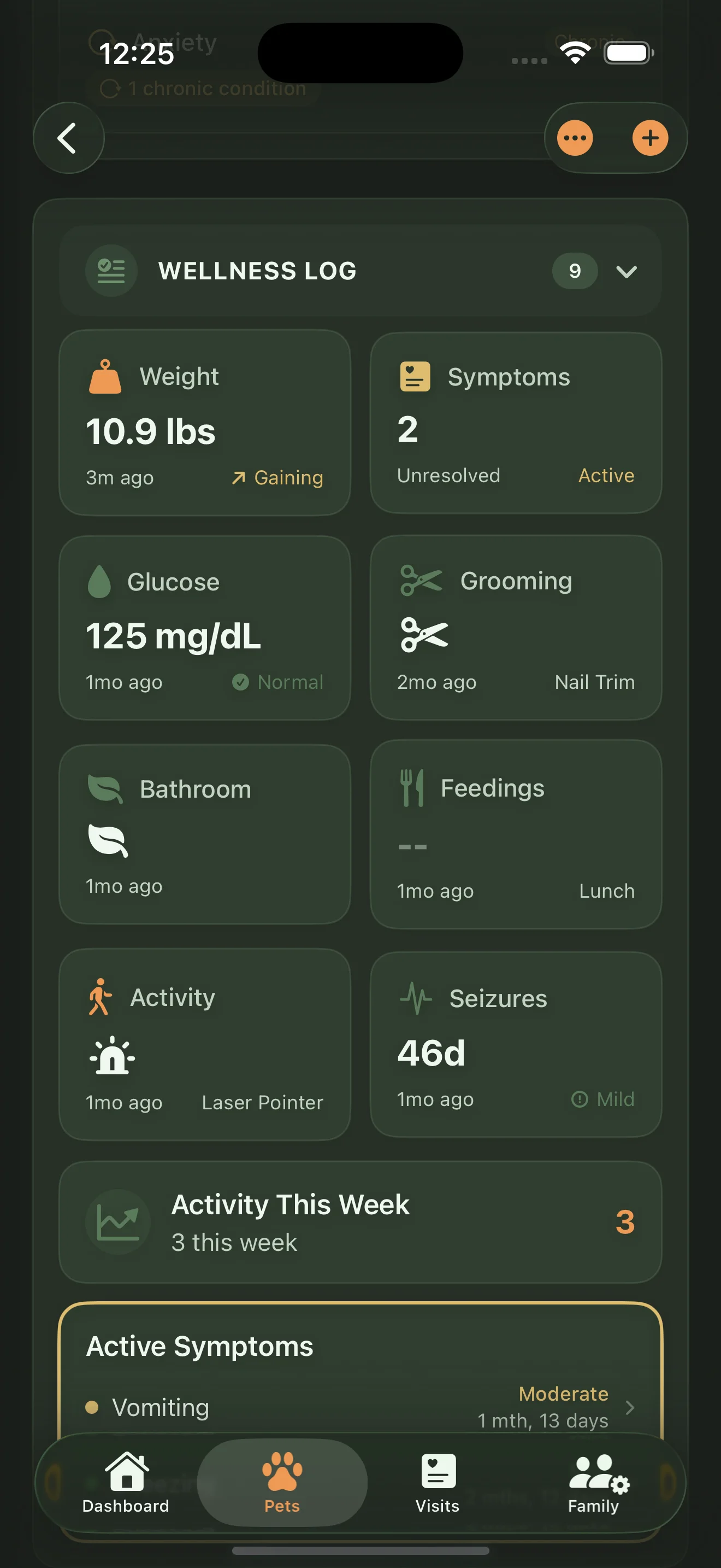 Everkin wellness log showing daily health tracking